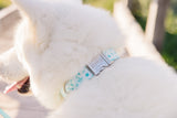 Mint Blue Stars Dog Collar