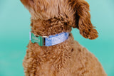 Faded Denim Dog Collar