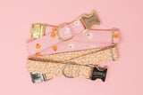Pink Pumpkins Dog Collar