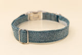 Teal Glitter Dog Collar