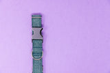 Teal Glitter Dog Collar