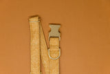 Gold Glitter Dog Collar