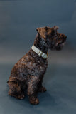 Mint Glitter Dog Collar