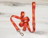 Caramel Apple Endurance Leash