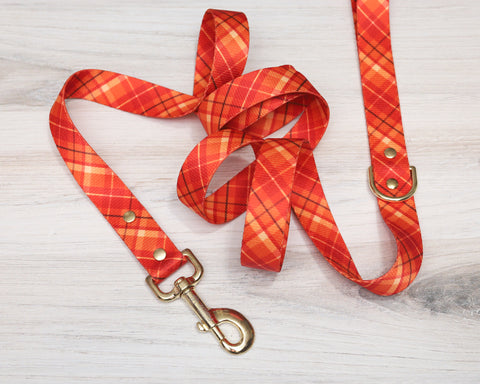 Caramel Apple Endurance Leash