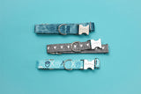 XOXO Blue Dog Collar