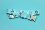 XOXO Blue Dog Collar