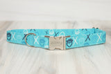 XOXO Blue Dog Collar