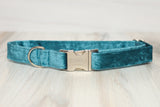 Teal VELVET Dog Collar