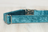 Teal VELVET Dog Collar