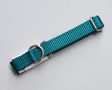 SMALL - Teal Webbing - Silver Buckle