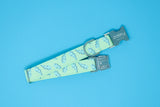 Retro Lightning Bolts Dog Collar