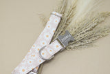 Tan Daisies Dog Collar