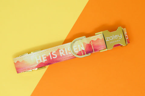 He is Risen Dog Collar