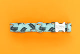 Toucan Floaties Dog Collar