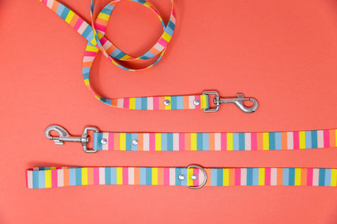 Poolside Endurance Leash