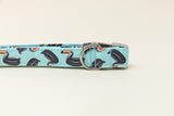 Toucan Floaties Dog Collar