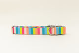 Poolside Stripe Endurance Collar