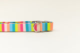 Poolside Stripe Endurance Collar