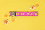 Pink Best Dog Ever Dog Collar