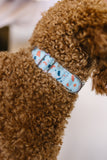 Blue Terrazzo Dog Collar