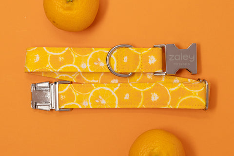 Oranges Dog Collar