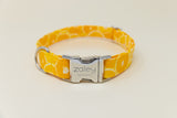 Oranges Dog Collar