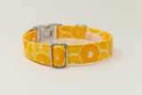 Oranges Dog Collar