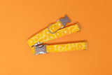 Oranges Dog Collar