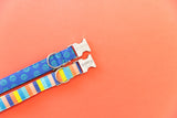 Pacific Stripe Dog Collar