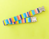 Pacific Stripe Dog Collar