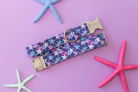 Purple Starfish Dog Collar