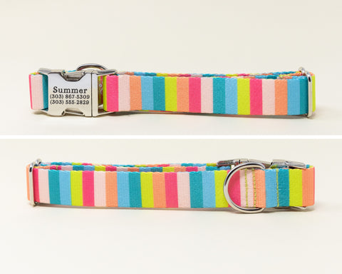 Poolside Stripe Endurance Collar