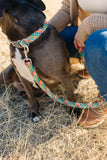 Lassie Plaid Endurance Leash