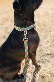 Lassie Plaid Endurance Leash