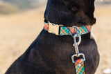 Fall Plaid Personalized Endurance Collars