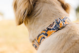 Orange and Black Tie Dye Dog Collar