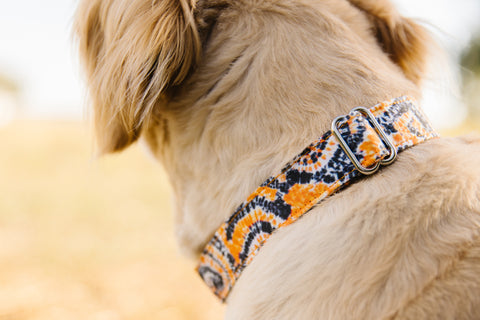 Orange and Black Tie Dye Dog Collar