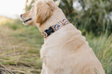 Orange and Black Tie Dye Dog Collar