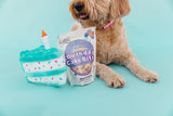 Birthday Cake - Dog Toy