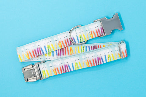 Birthday Candle Dog Collar