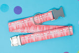 Pink Birthday Candle Dog Collar