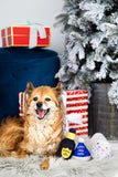 New Years Dog Toy Trio
