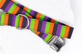 Monster Spirit Stripe Dog Collar