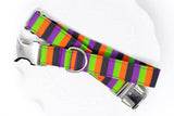 Monster Spirit Stripe Dog Collar