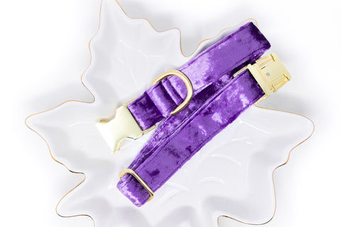 Light Purple Velvet Dog Collar