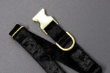 Black Velvet Dog Collar