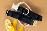 Black Velvet Dog Collar