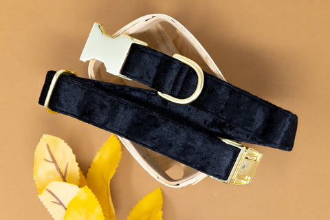 Black Velvet Dog Collar