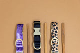 Black Velvet Dog Collar